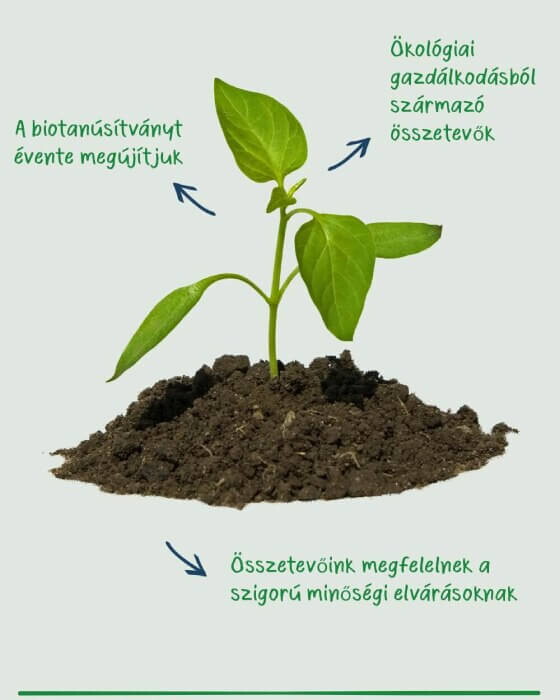 A biotanúsítványt évente megújítjuk